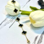 اسوارة فان كليڤ 🖤