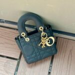 تشارمز الحقيبة من DIOR