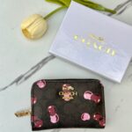 جزدان coach بني 🤎🍒 صغير