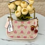 شنتة كوتش مع كرزة مختومة 🍒💕💞