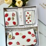 بكج كوتش 🍓 20سم.