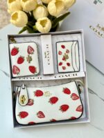 بكج كوتش 🍓 20سم.