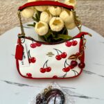 شنتة كوتش مع كرزة مختومة 🍒🤍