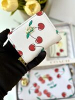 ⁦بكج كوتش 🍒 20سم.⁩ - الصورة ⁦3⁩