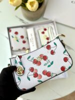 ⁦بكج كوتش 🍒 20سم.⁩ - الصورة ⁦2⁩