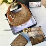 بكج كوتش الانيق 🤎