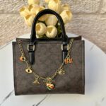 حقيبة Coach Rogue مع مداليا السلسلة وحزام اضافي طويل قاعدة 25سم