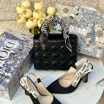 بكج Dior اسود، حقيبة قاعدة 22سم + حذاء ارتفاع 7سم