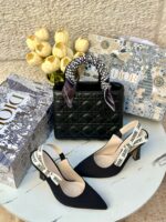 بكج Dior اسود، حقيبة قاعدة 22سم + حذاء ارتفاع 7سم